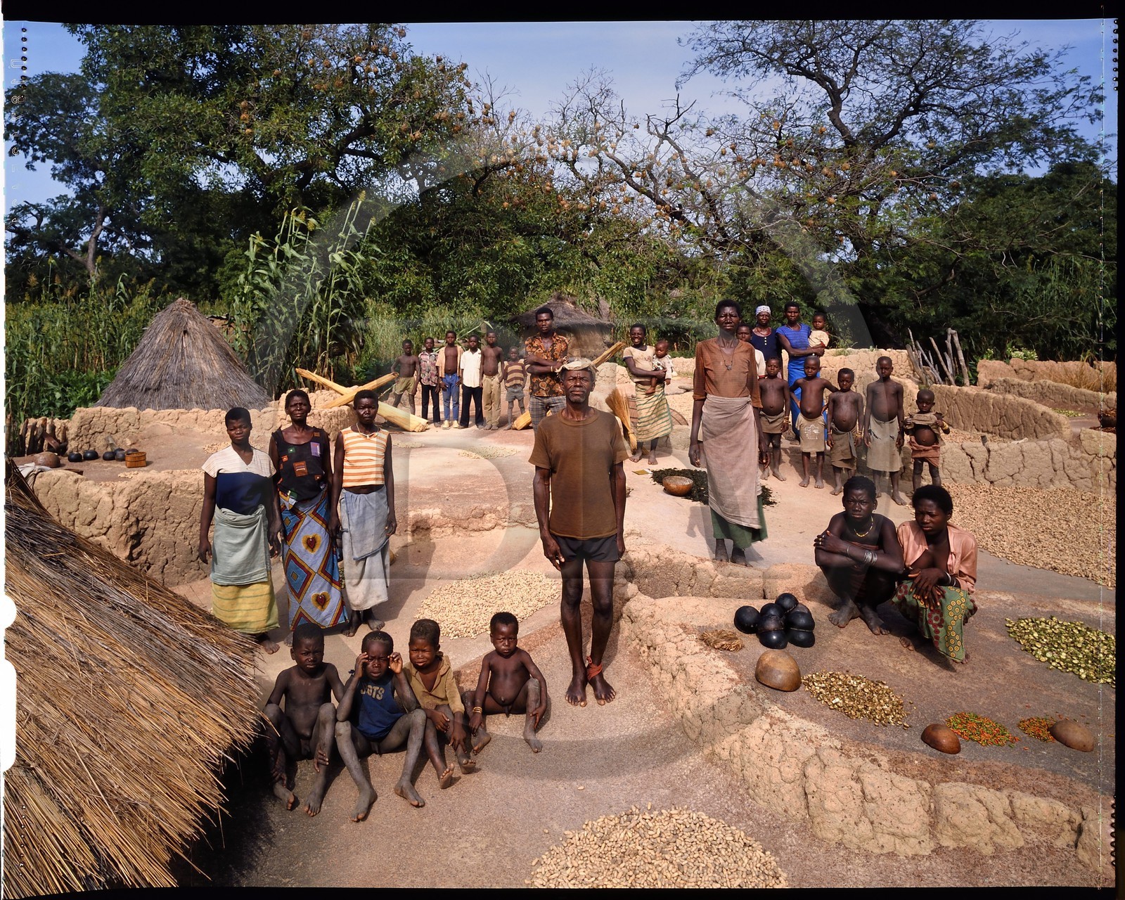 Burkina Faso, province de Poni, pays des Lobi, région de Loropéni, Lakar, chef du village de Lakar avec sept de ses femmes et quelques un de ses enfants sur la terrasse de sa maison où on fait sécher les condiments et épices