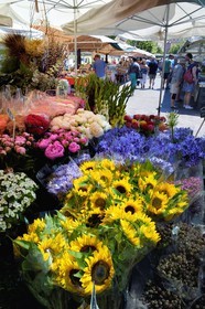 France, Alpes-Maritimes (06), Nice, vieille ville, marché du cours Saleya, marché aux fleurs