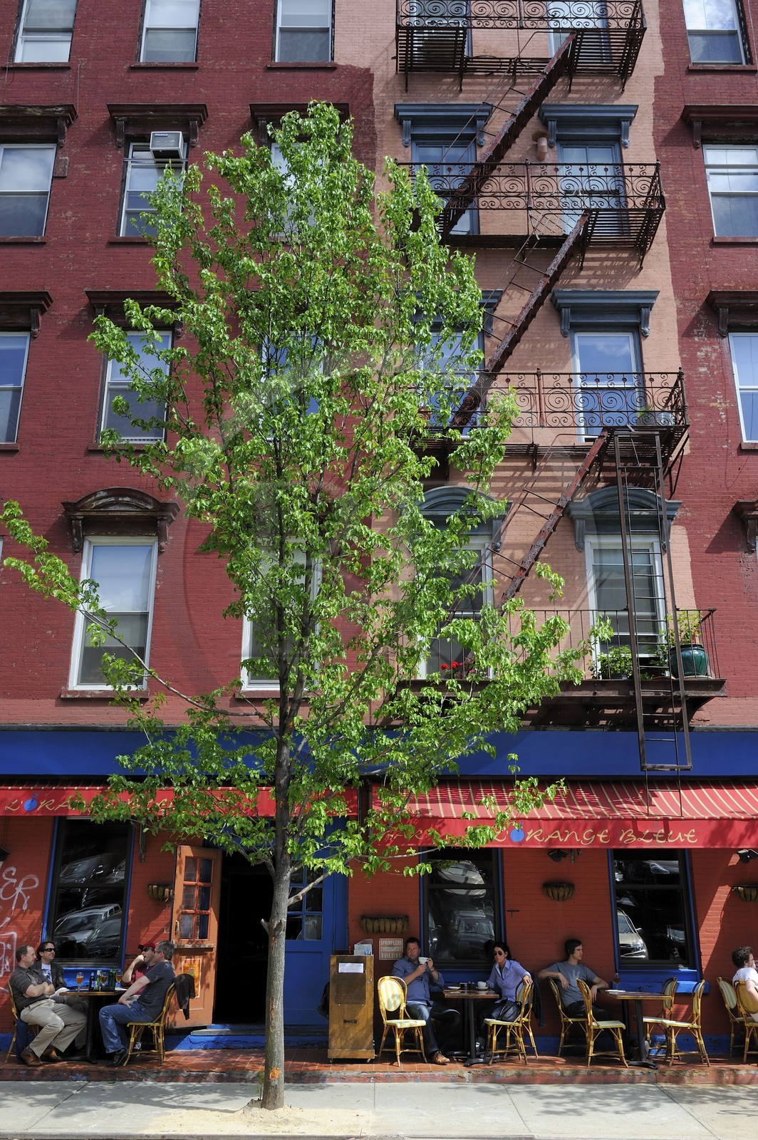 Etats-Unis, New York, Manhattan, Soho, restaurant L'orange bleue rendez-vous des français de New York
