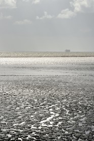 France, Charente-Maritime (17), Fouras, plage de l'Espérance découverte par la marée et le Fort Boyard