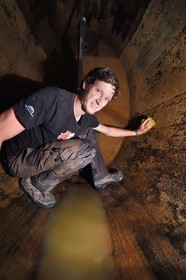 France, Haut-Rhin (68), Route des vins d'Alsace, Bergheim, Domaine viticole Marcel Deiss, le viticulteur Mathieu Deiss nettoyant l'intérieur d'un grand tonneau aussi appelé foudre