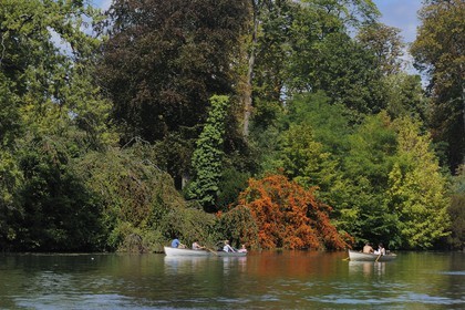 France, Paris (75), le Bois de Boulogne, promenade en barque autours des iles du Lac Inférieur