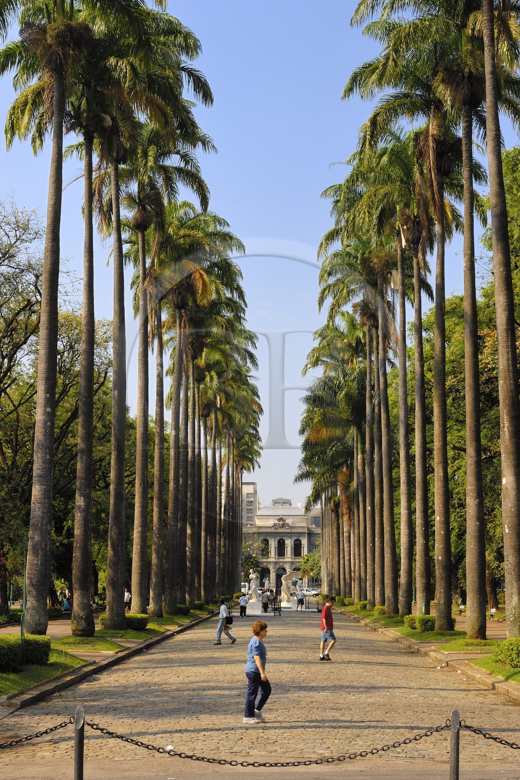 Brésil, Etat du Minas Gerais, Belo Horizonte, Place de la Liberté Brésil, Etat du Minas Gerais, Belo Horizonte, Place de la Liberté