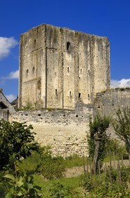 France, Indre et Loire, Loches, the donjon and the feudal fortress