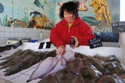 France, Seine-Maritime (76), Le Havre, port de pêche, marché aux poissons pratiquant la vente directe