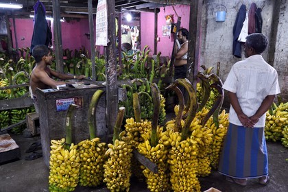 Sri Lanka, province de l'ouest, district de Colombo, Colombo, le marché de fruits et légumes Manning dans le quartier de Pettah