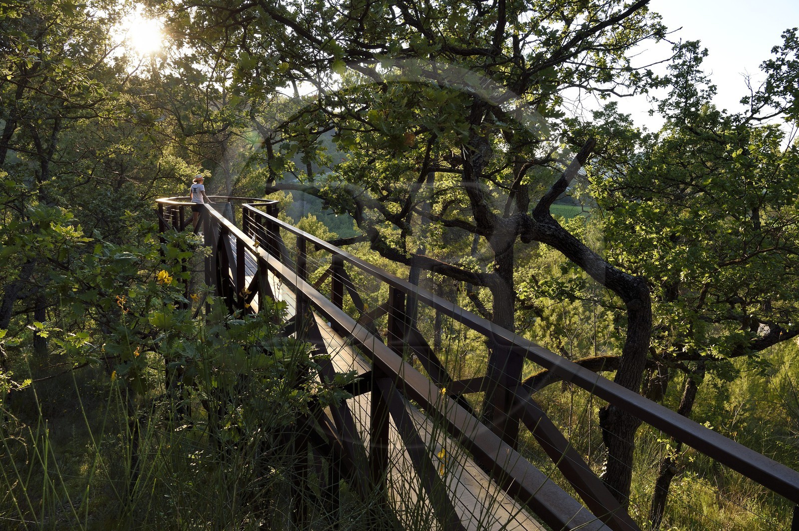 France, Bouches-du-Rhône (13),  Le Puy Sainte Réparade, Chateau La Coste domaine viticole et centre d'art contemporain, Self-portrait: Cat inside a Barrel par l'artiste Tracey Emin (Mention Obligatoire)