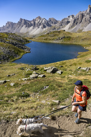 France, Hautes Alpes (05), le Briançonnais, Névache, haute vallée de la Clarée, randonneuse avec ses chiens au lac Long à une altitude de 2387m, le massif des Cerces en arrière-plan