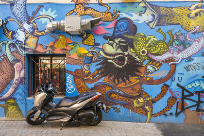 France, Herault, Sete,  Quartier Haut (the Upper Quarter), mural fresco which is part of the MACO (Musee à ciel ouvert) - Open-air museum, Sète assez ? by the artist Alëxone in the rue de Metz