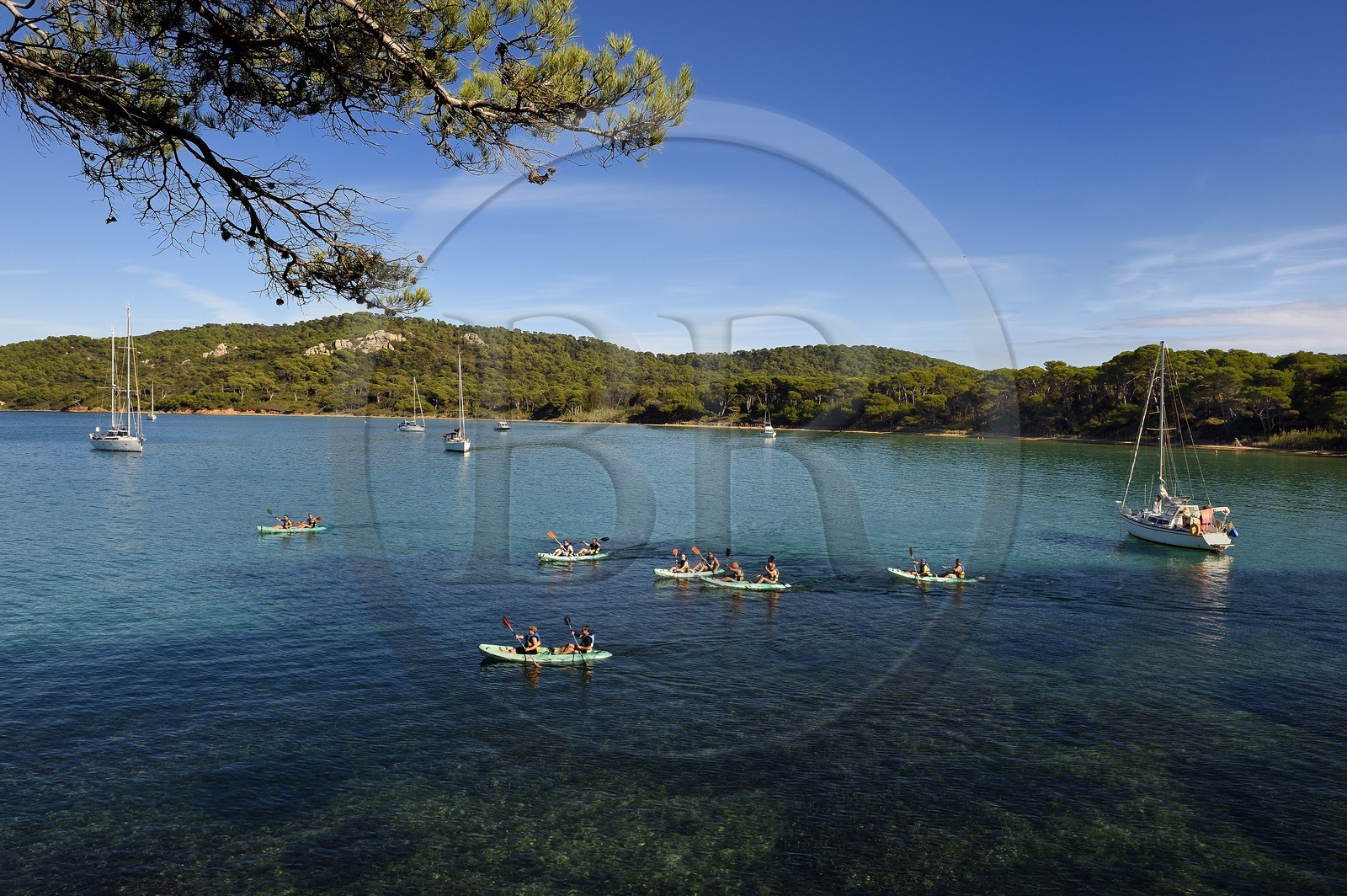 France, Var (83), Iles d'Hyères, parc national de Port Cros, Ile de Porquerolles, plage Notre-Dame