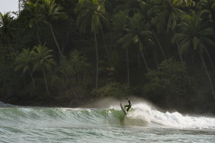 Sri Lanka, Province du Sud, Matara (district), Weligama, plage de Mirissa, surfeur