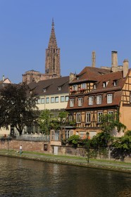 France, Bas-Rhin (67), Strasbourg, les bords de l'ill face au quai des Bateliers et la cathédrale