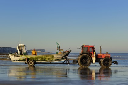 France, Seine-Maritime, Veules-les-Roses, fishing departure on board the boat La Pomme pulled by a tractor on the beach