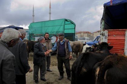Turquie, Anatolie Centrale, province de Nevsehir, Cappadoce classée Patrimoine Mondial de l'UNESCO, marché aux bestiaux d' Ürgüp
