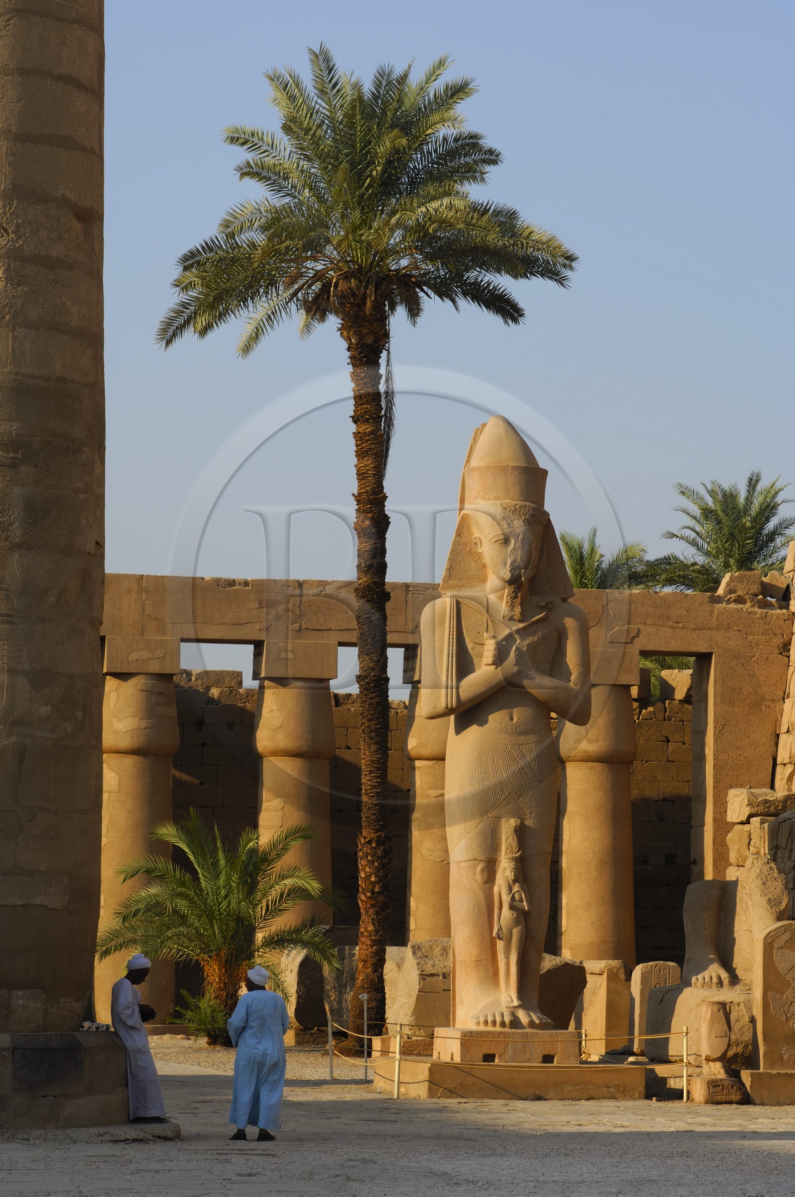 Egypte, Haute Egypte, vallée du Nil, Louxor, Karnak, classé Patrimoine Mondial de l'UNESCO, colosse de Ramses II