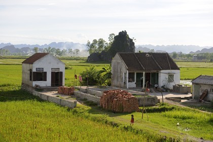 Vietnam, Ninh Binh province, small farms in the middle of ricefields