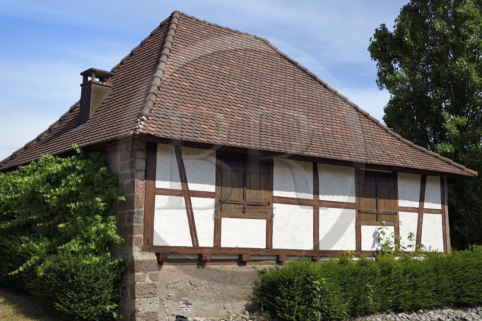 France, Haut Rhin, the Alsace Wine Route, Thann, The hut of the Bangards (comes from bannwarth in German the guardian of the ban therefore of the vine)