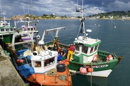 France, Finistere, Plougasnou,  trawlers returning from fishing in the port of Diben