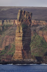 Royaume-Uni, Ecosse, Iles Orcades, Ile de Hoy, l'emblème distinctif Old Man of Hoy est un rocher se détachant en mer haut de 137 m (vue aérienne)