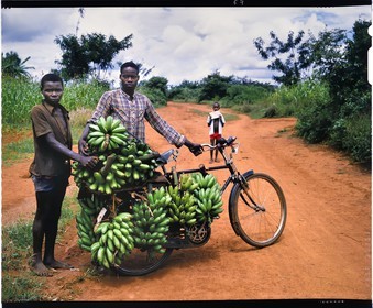 Burundi, Muramvya Province, Hutu banana carriers on bike, there is a significant banana trade and to transport them from the highlands to Bujumbura, they charge them (it often reaches the hundred kilos) on archaic bicycle with almost nonexistent brakes and they go down a more then100km road of very steep incline, they are called the kamikazes (4x5 reversal film reproduction)