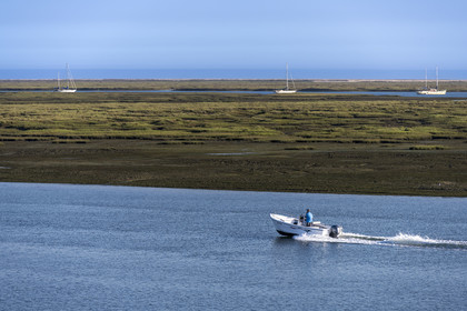 Portugal, Algarve, Faro, boat moving in the lagoon of the Ria Formosa Nature Park