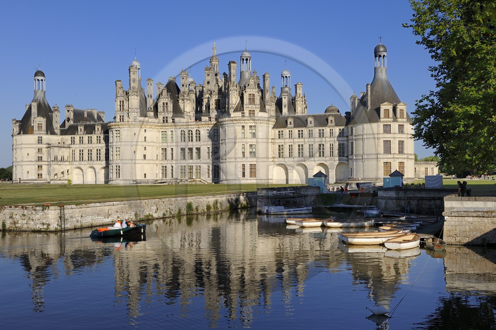 France, Loir et Cher (41), Vallée de la Loire classée Patrimoine Mondial de l' UNESCO, château de Chambord, découverte en barque électrique