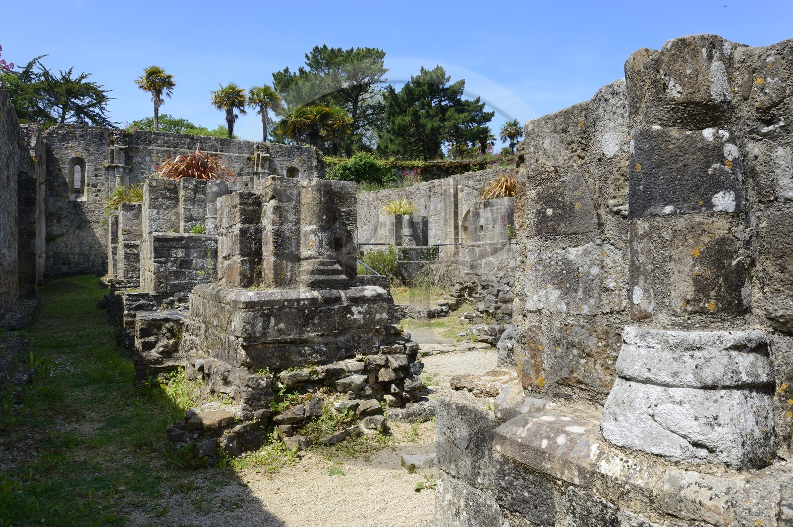 France, Finistère (29), , Mer d'Iroise, parc naturel régional d'Armorique, Presqu'île de Crozon, ruines de l'ancienne Abbaye Saint-Guénolé de Landévennec