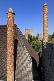 Portugal, Minho region, Guimaraes, town listed as World Heritage by UNESCO, the chimneys of the Paço dos Duces de Bragança (Palace of the Dukes of Braganza) and the castle