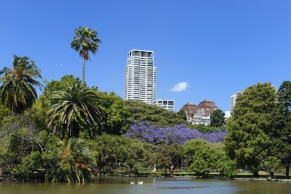 Argentina, Buenos Aires, Palermo park, Plaza Holanda Lake