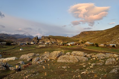 Azerbaïdjan, région de Quba (Guba), chaine de montagne du Grand Caucase, village de Giriz à l'aube, femmes amenant leurs vaches au prés