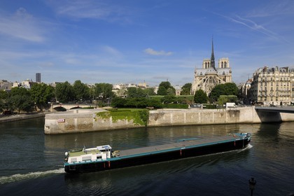 France, Paris (75), les rives de la Seine classées Patrimoine Mondial de l'UNESCO, île de la Cité, la cathédrale Notre-Dame