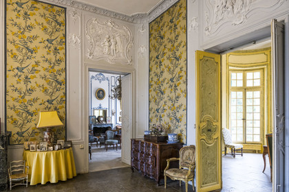 France, Hérault (34), Lavérune, Chateau de l'Engarran, hotel particulier de la deuxième moitié du XVIIIème siècle appelée folie montpelliéraine, gypserie, décoration d’intérieur moulée et sculptée en gypse