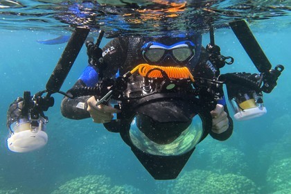 Sultanate of Oman, Governorate of Muscat, Nature Reserve of the Daymaniyat Islands, the photographer-diver Maisa Al Hooti