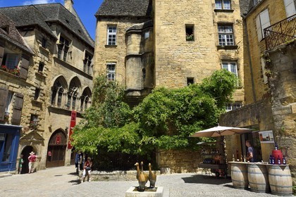 France, Dordogne, Perigord Noir, Dordogne valley, Sarlat la Caneda, Goose Market Place, geese statue by Lalanne, in the background the Hotel de Vassal of the fifteenth century