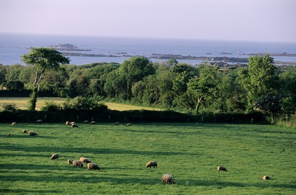 France, Manche, Cotentin, Cap de la Hague region