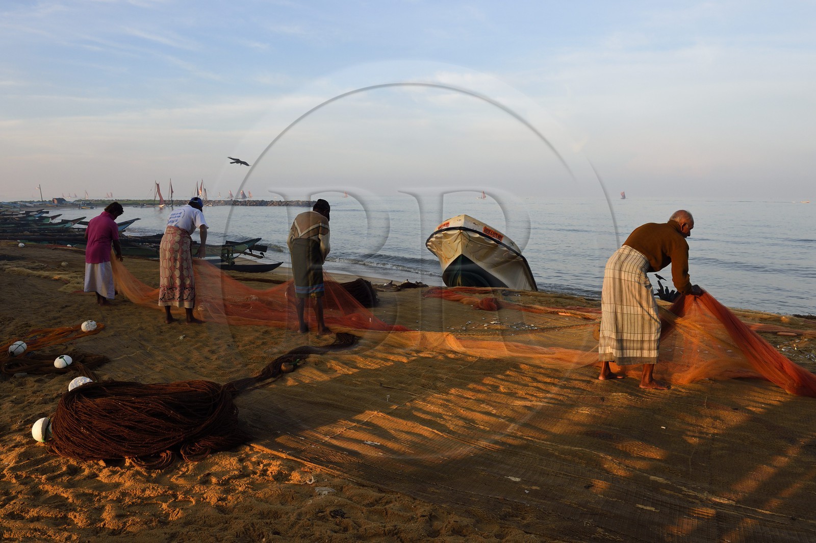 Sri Lanka, Province de l'Ouest, Negombo, pecheurs triant leurs filets sur la plage de Porathota
