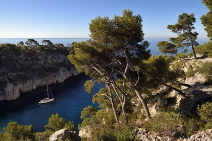 France, Bouches-du-Rhône (13), Marseille, Parc national des Calanques, Calanque de Port-Pin (demande d'autorisation nécessaire avant publication)