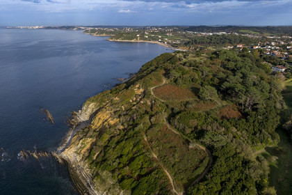 France, Pyrenees Atlantiques, Basque Country coast, Saint-Jean-de-Luz, the coastal path on the GR 8 running along the flysch cliff of the Pile d'Assiettes, a sort of mille-feuille alternating hard rocks and soft rocks (aerial view)