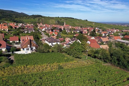 France, Haut-Rhin (68), Route des vins d'Alsace, Riquewihr, labellis