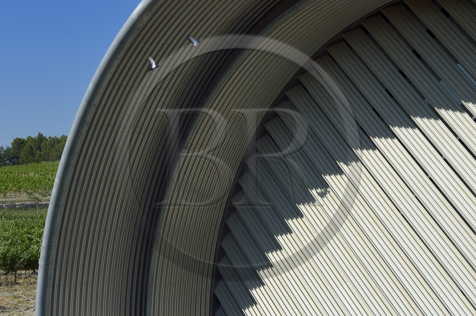 France, Bouches-du-Rhône (13),  Le Puy Sainte Réparade, Chateau La Coste domaine viticole et centre d'art contemporain, AOP Côteaux d'Aix, Chais de Vinification par Jean Nouvel (Mention Obligatoire)