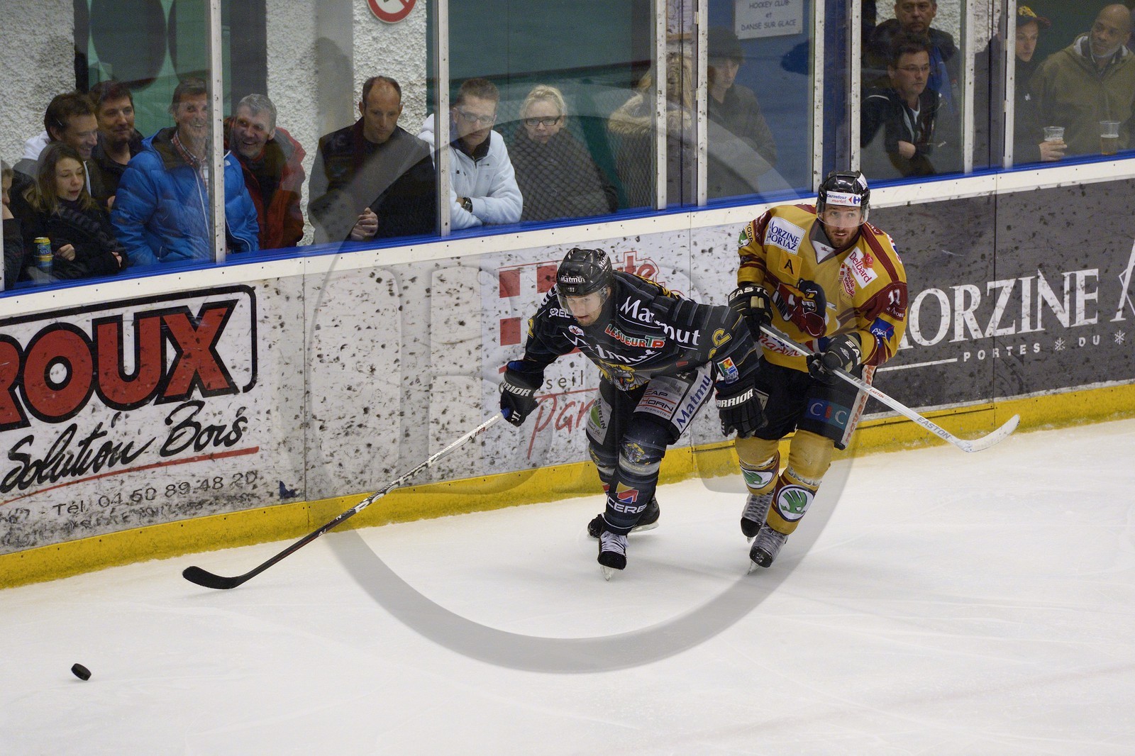 France, Haute-Savoie (74), Morzine, match de hockey sur glace du Hockey Club Morzine-Avoriaz appelé les Pingouins