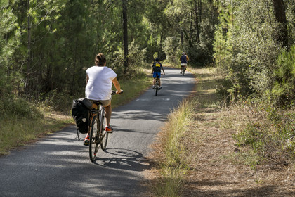 France, Charente-Maritime (17), Royan, Les Mathes, cyclistes sur la Vélodyssée, la piste cyclable EuroVelo1 qui longe l’Atlantique au nord de La Palmyre
