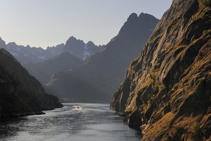 Norvège, Nordland, Iles Lofoten, le très etroit fjord Trollfjord en bordure du Raftsundet