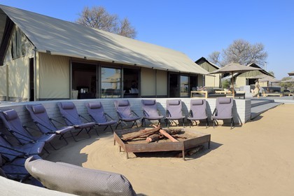 Zimbabwe, province de Matabeleland septentrional, parc national Hwange, Wilderness Safaris Linkwasha Camp