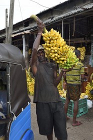 Sri Lanka, Western Province, Colombo District, Colombo, Manning fruits and vegetables market in Pettah district