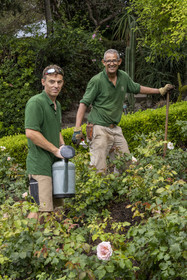 France, Alpes-Maritimes, Saint Jean Cap Ferrat, Villa and Gardens Ephrussi de Rothschild, two gardeners working in the roses