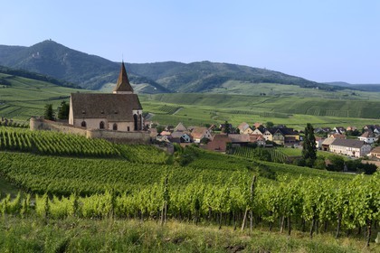 France, Haut-Rhin (68), Route des Vins d'Alsace, Hunawihr, labellisé Les Plus Beaux Villages de France, Eglise de Sainte-Hune