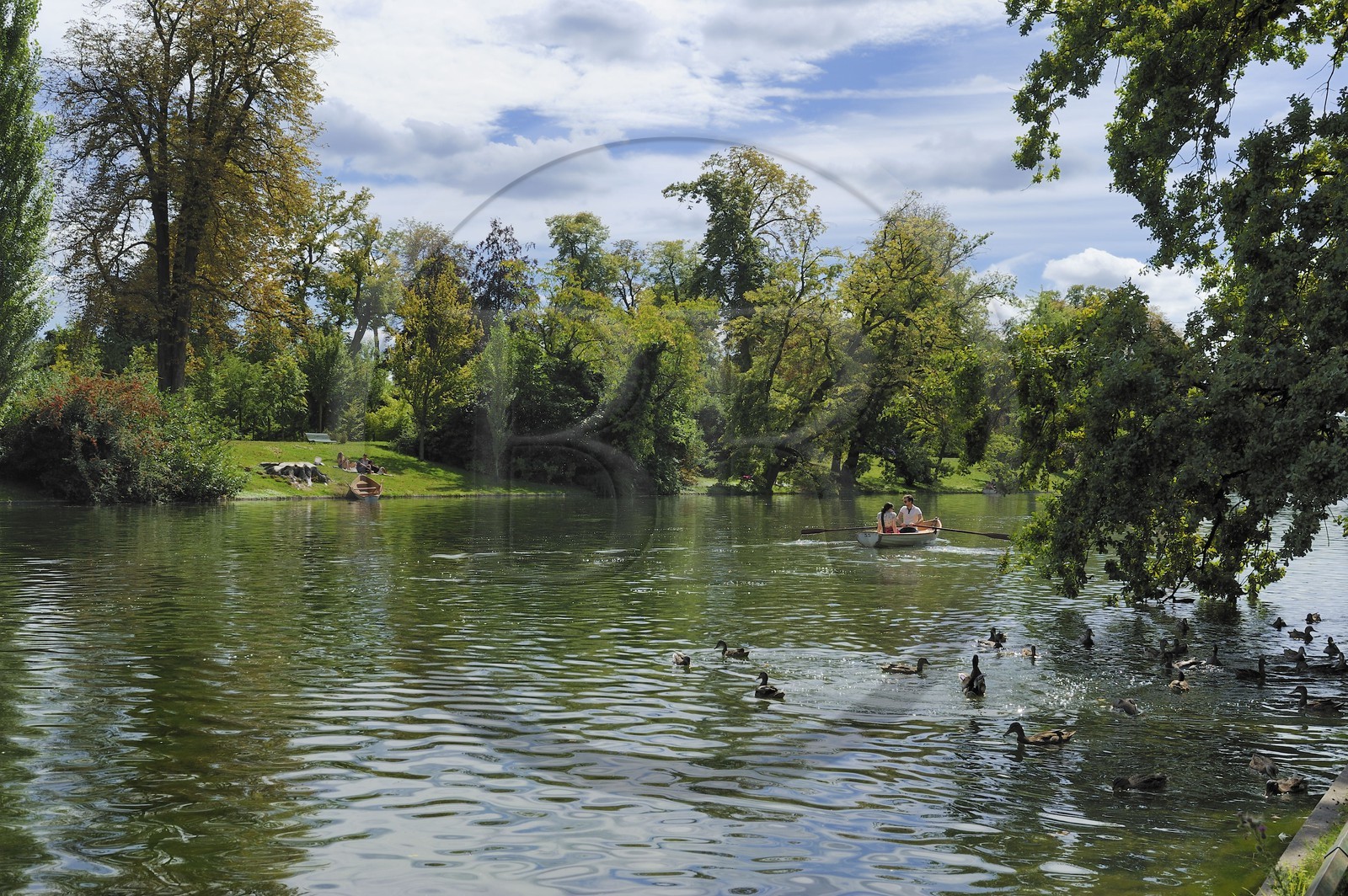France, Paris (75), le Bois de Boulogne, promenade en barque autours des iles du Lac Inférieur