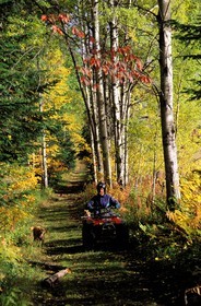 Canada, Quebec Province, Region of Saguenay, Claude Deschênes, farmer inspecting his grounds on board of his quad