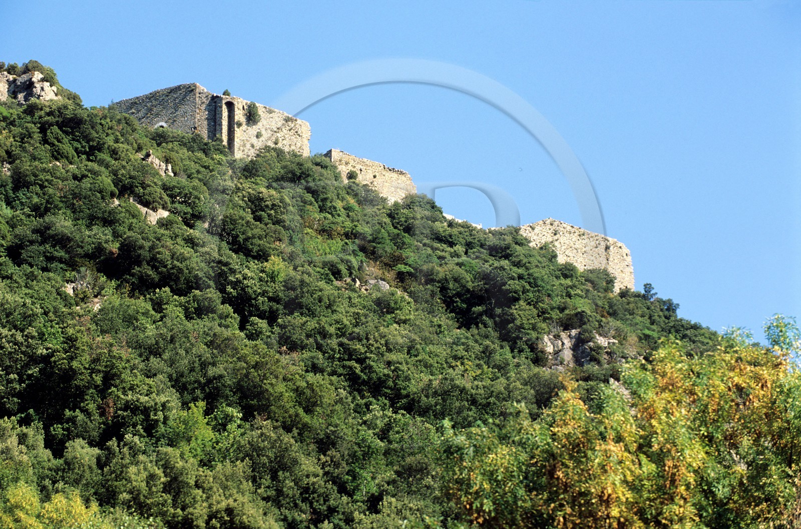 France, Aude (11), château cathare de Termes dans la forêt des Corbières